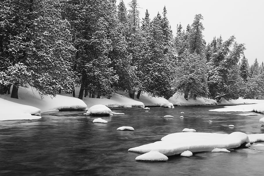 river, water, snow, cold, winter, trees, forest, woods, outdoors HD wallpaper