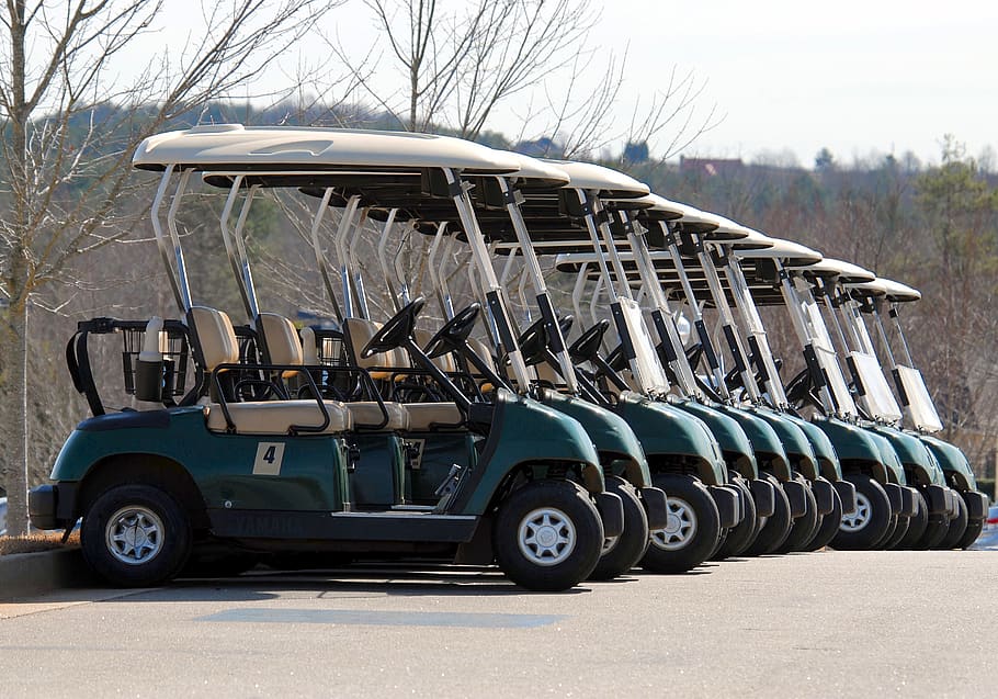 Blue-and-white Golf Carts, course, drive, engine, game, golf course HD wallpaper