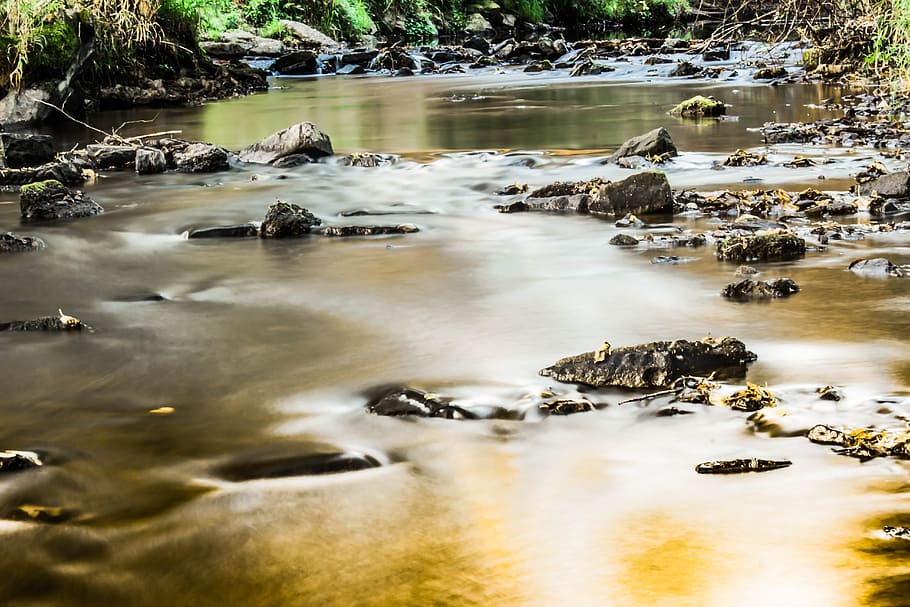water, flow, nature, stream, river, jungle, wild, forest, rainforest HD wallpaper