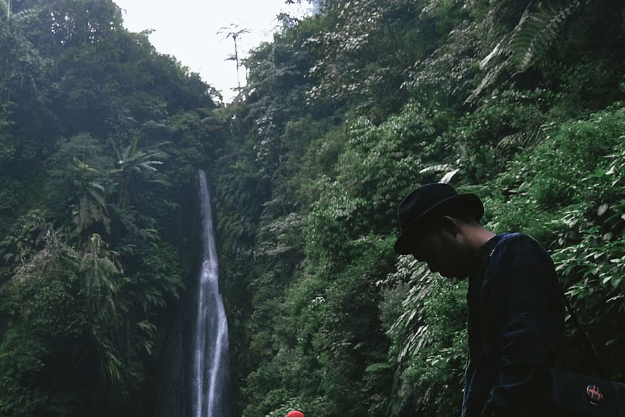 waterfall, tree, landscape, forest, nature, journey, man, dark HD wallpaper