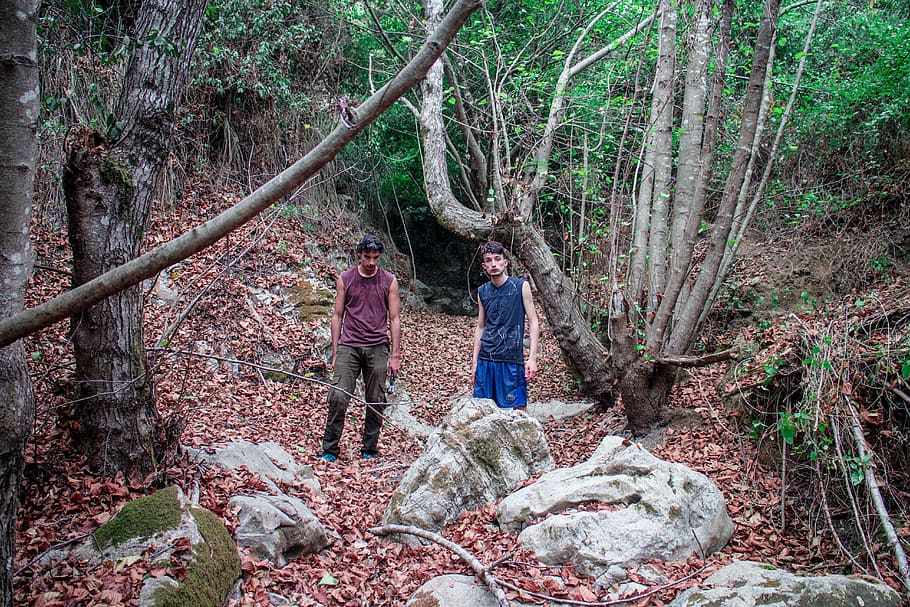 algeria, jijel, tree, forest, plant, land, two people, nature HD wallpaper