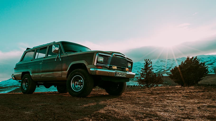 gray SUV near trees, truck, transportation, pickup truck, vehicle HD wallpaper
