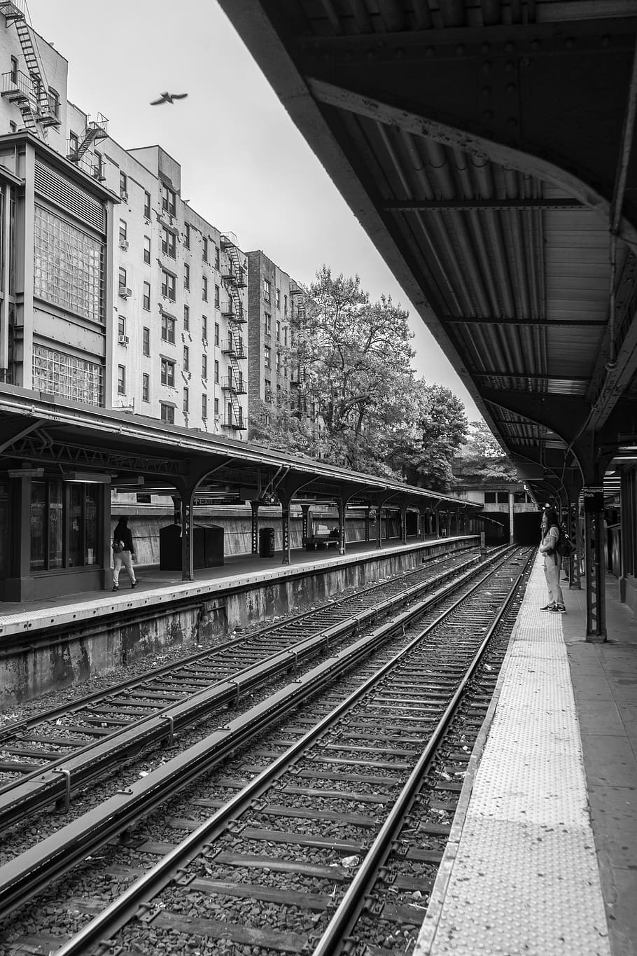train railway, train track, transportation, train station, human HD wallpaper