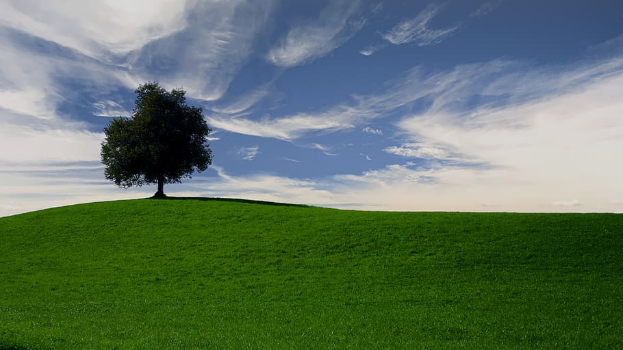 tree, sky, landscape, nature, clouds, atmosphere, scenic, idyllic HD wallpaper