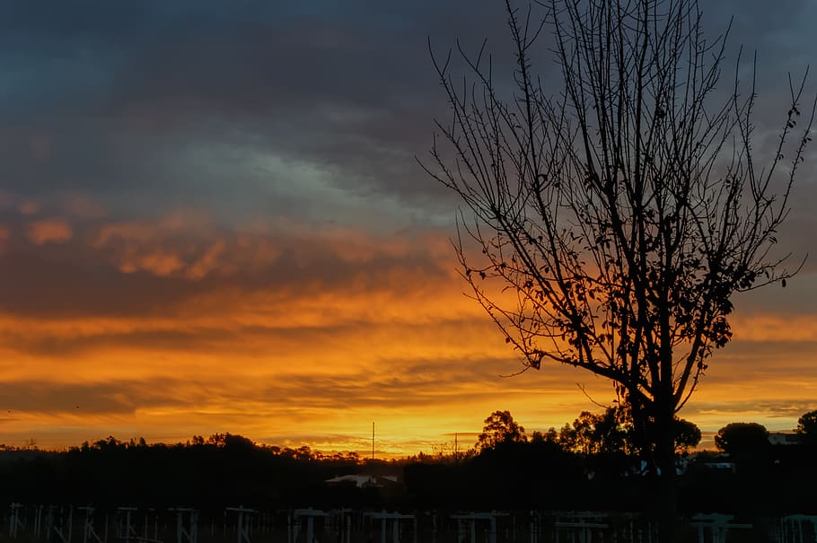 sunrise, sky, cloud, colour, sunset, silhouette, cloud - sky HD wallpaper