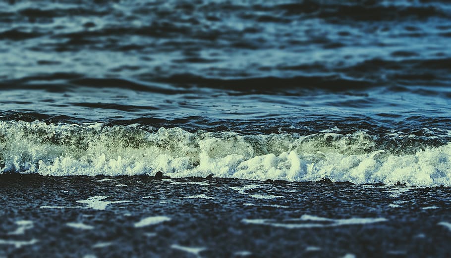 sea, water, waves, motion, beach, sport, land, aquatic sport HD wallpaper
