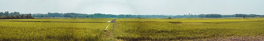 Panoramic Photo of Farm, crops, daylight, environment, farmland HD wallpaper