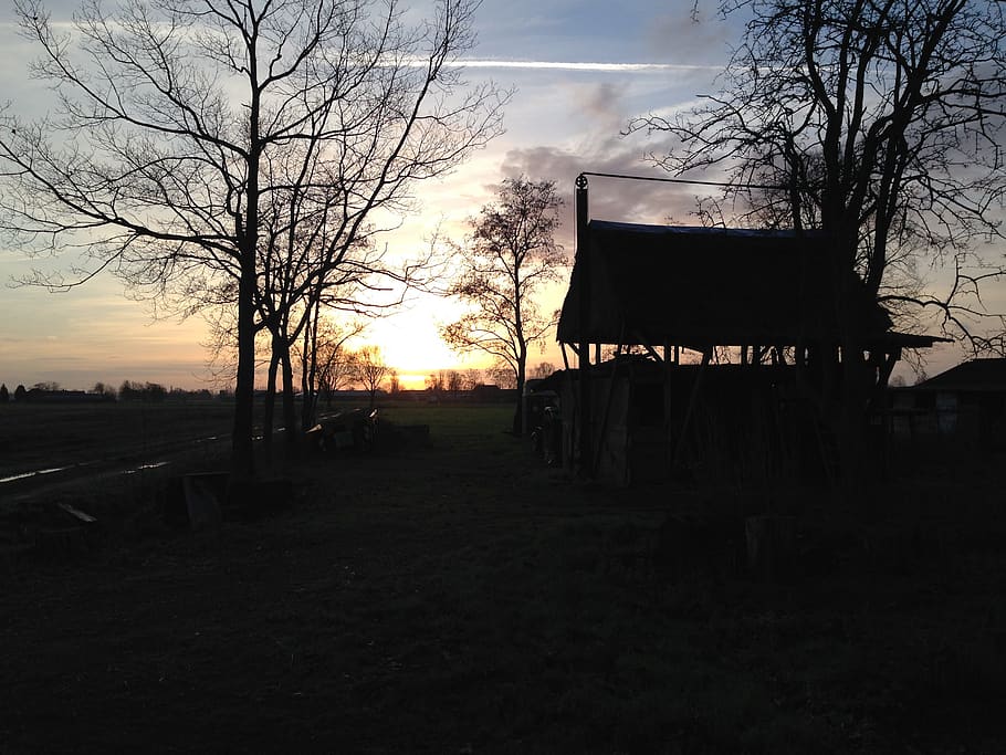 netherlands, epe, old farm, sunset, sunrise, trees, sky, architecture HD wallpaper