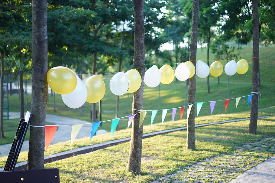 balloon, party, nature, green, birthday, balloons, celebration, HD wallpaper