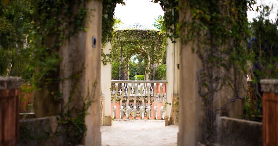 trees, overgrown, vines, balcony, plant, day, nature, architecture HD wallpaper