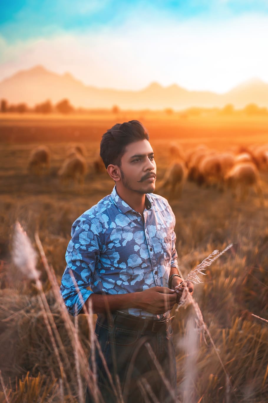 man, boy, mustache, grass, nature, orange, fields, sheep, one person HD wallpaper