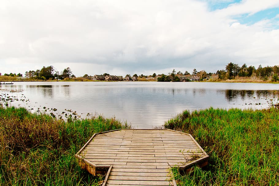 landscape, water, lake, sky, tranquility, beauty in nature, plant HD wallpaper