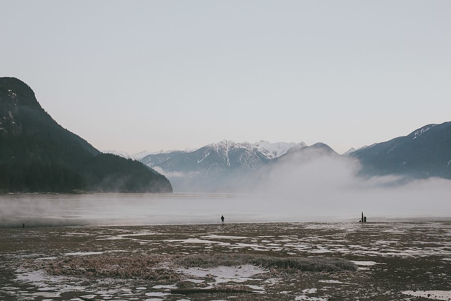 adventure, pnw, explore, lake, forest, trees, mountains, fog HD wallpaper