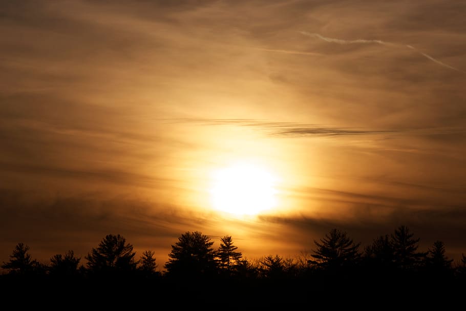 Silhouette of Trees during Golden Hour, clouds, sun, sunset, twilight HD wallpaper
