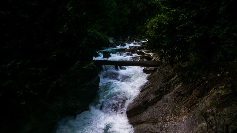 canada, river, waterfall, trees, forest, scenics - nature, flowing water HD wallpaper