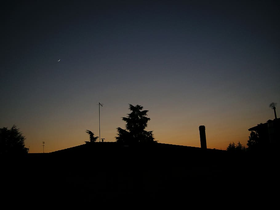 silhouette, sky, plant, tree, sunset, nature, copy space, beauty in nature HD wallpaper