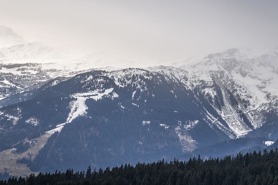 france, trees, mountain, winter, snow, cold temperature, scenics - nature HD wallpaper