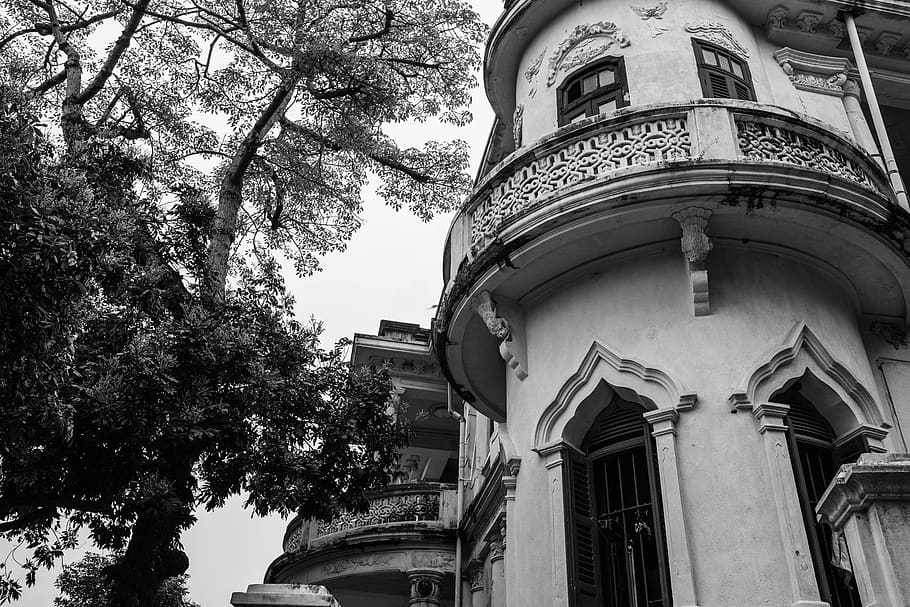 building, plant, tree, architecture, house, steeple, spire HD wallpaper