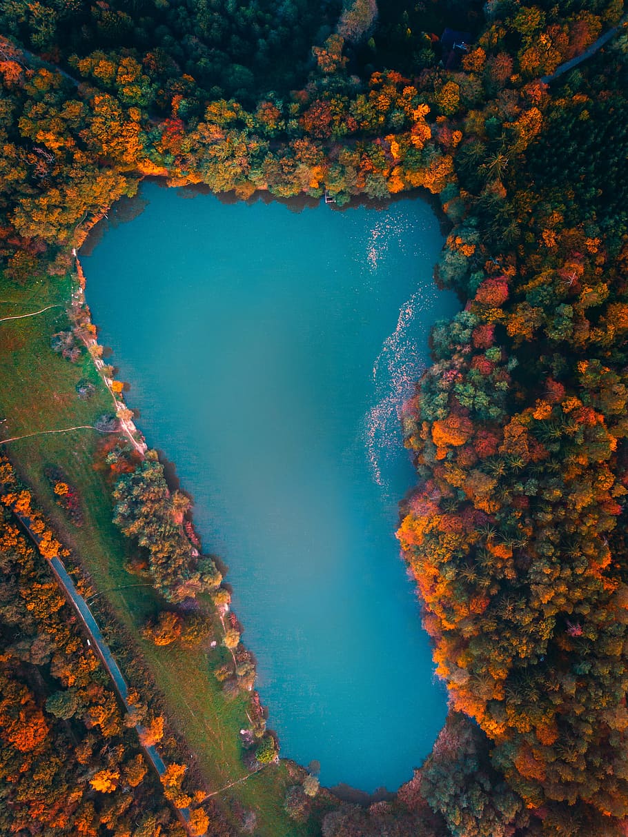 aerial island view, tree, sunset, orange, red, sky, over, above HD wallpaper