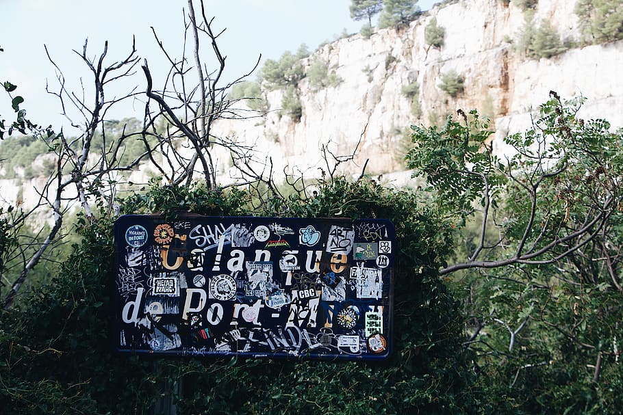 black photo frame on tree, plant, vegetation, bush, calanque de port miou HD wallpaper