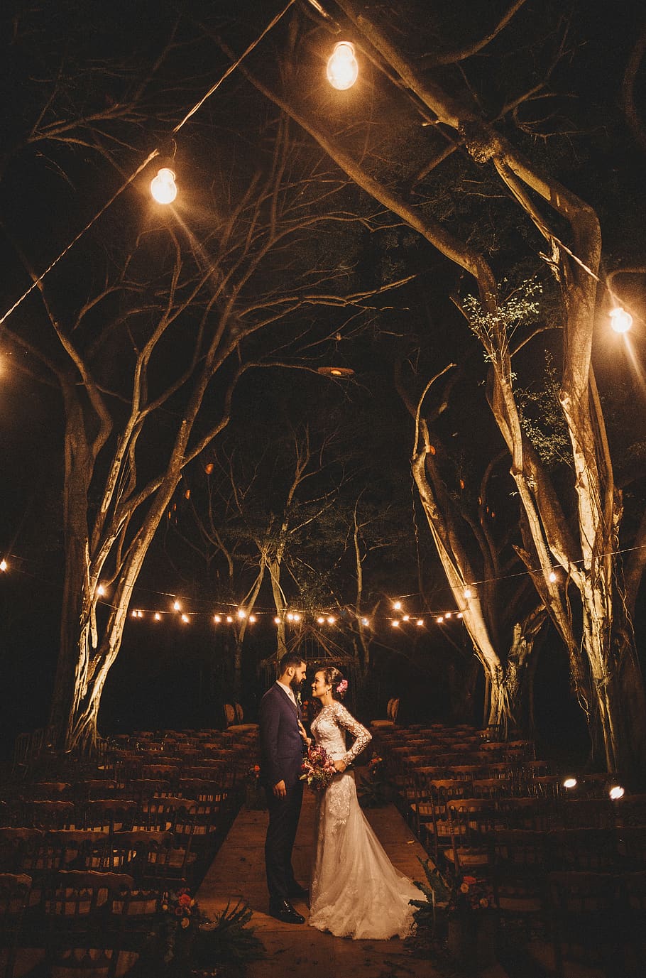 couple under lighted tree during night time, illuminated, two people HD wallpaper