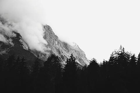 grayscale photograph of forest and mountain, tree, cloud, nature HD wallpaper