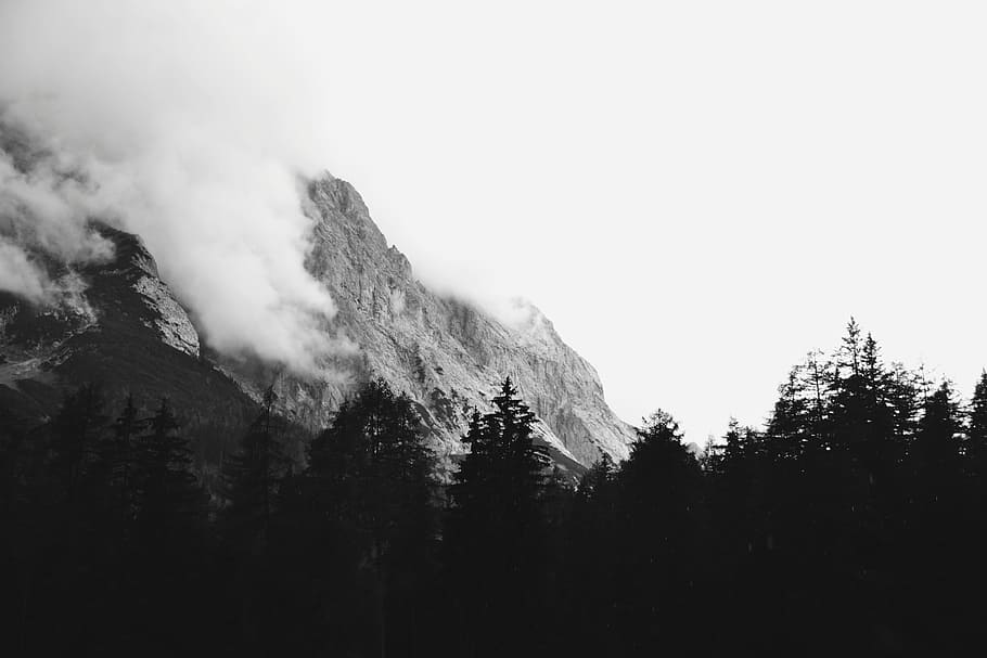 grayscale photograph of forest and mountain, tree, cloud, nature