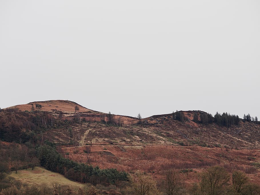 united kingdom, skipton, malham cove, hill, hillside, yorkshire, HD wallpaper