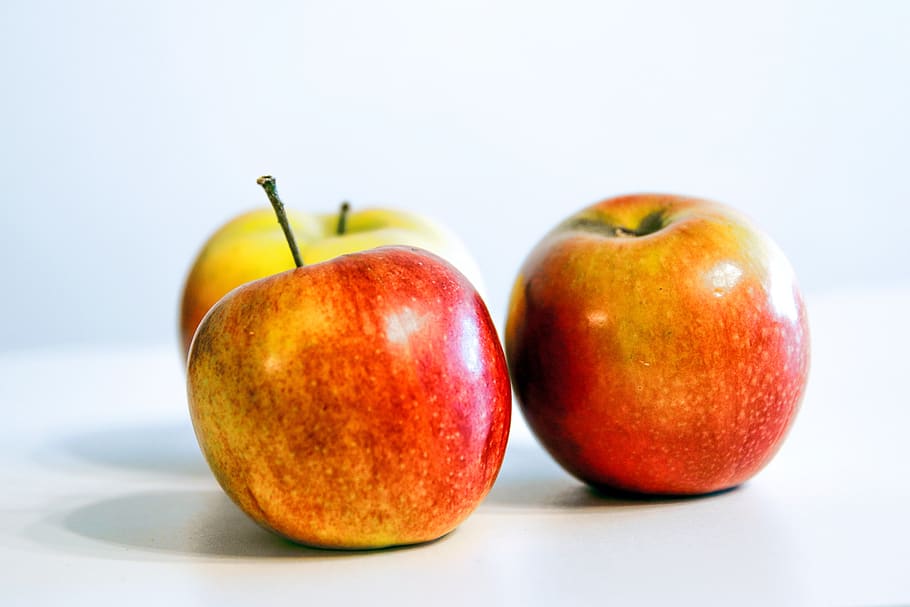 apples, fruit, mature, garden, healthy, summer, fresh, autumn, HD wallpaper