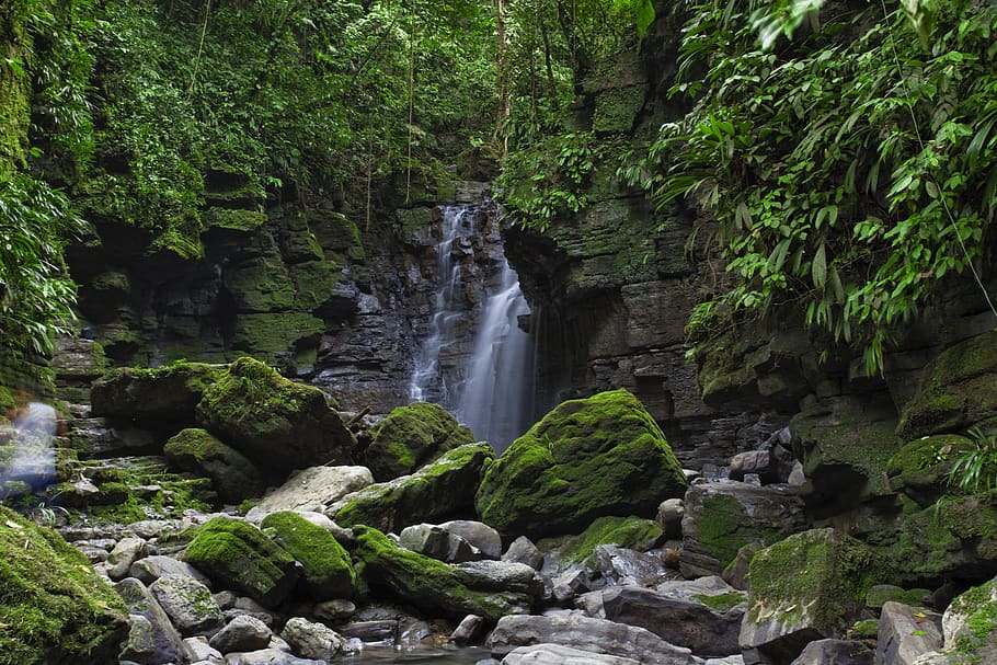 ecuador, tree, plant, waterfall, beauty in nature, long exposure HD wallpaper