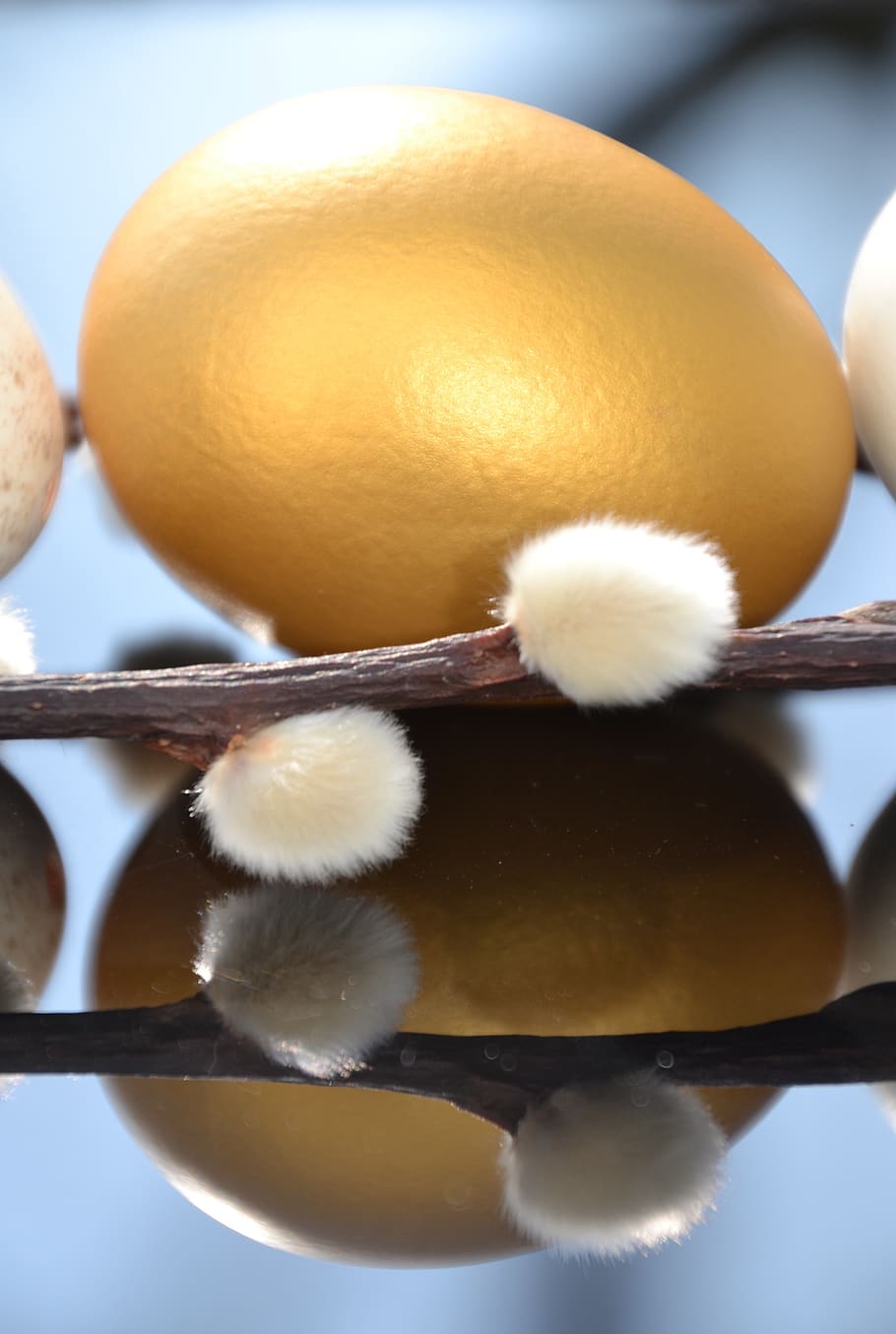 egg, hen's egg, easter, eggshell, close up, palm kitten, goldei HD wallpaper