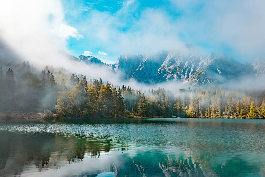 mountain covered with fog digital wallpaper, tree, landscape HD wallpaper