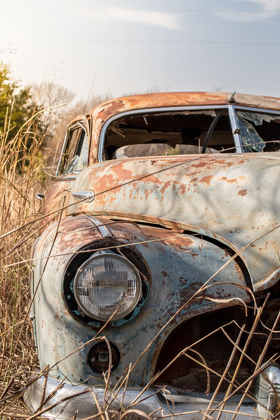 Auto decay rust фото 1