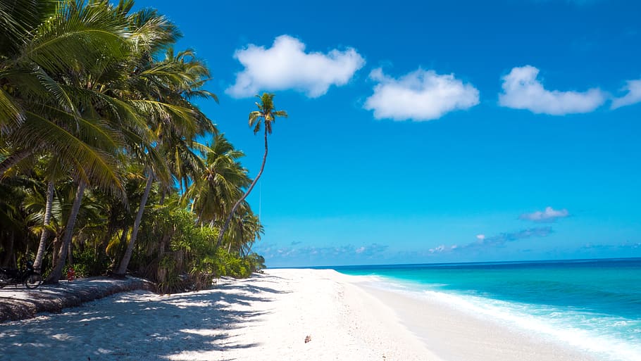shoreline under sky, summer, tropical, land, nature, outdoors HD wallpaper