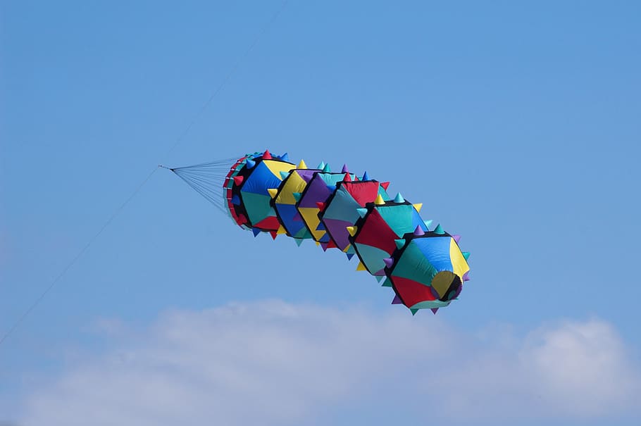 kite, beach, berck-plage, wind, sky, multi colored, flying HD wallpaper