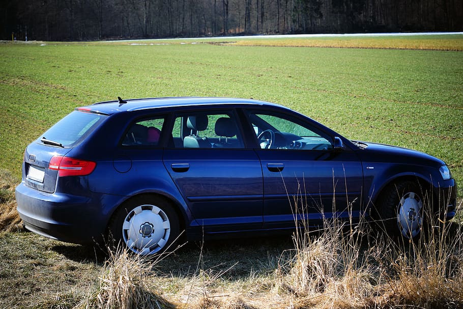 auto, audi, a3, blue, nature, vehicle, transport system, wheel HD wallpaper