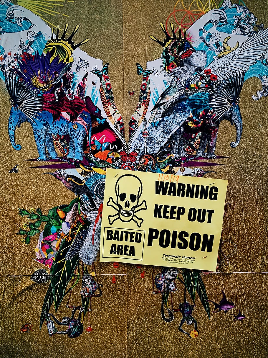 warning keep out poison baited area signage, collage, advertisement, HD wallpaper