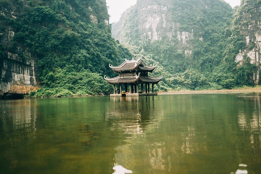 vietnam, ninh bình, ninh binh, water, plant, reflection, tranquility, HD wallpaper