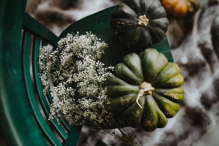 Top view of green pumpkin, autumn, vegetable, flat lay, freshness, HD wallpaper