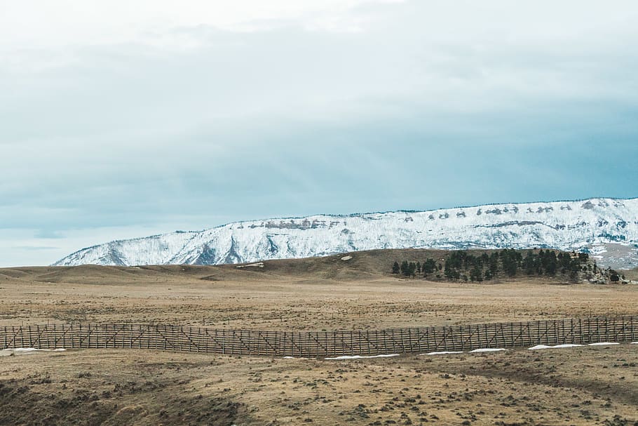 trees, mountain, sky, grass, field, fence, rock mountains, wyoming HD wallpaper