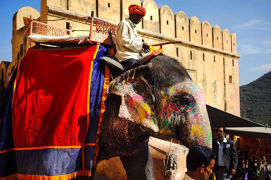 india, jaipur, built structure, architecture, building exterior HD wallpaper