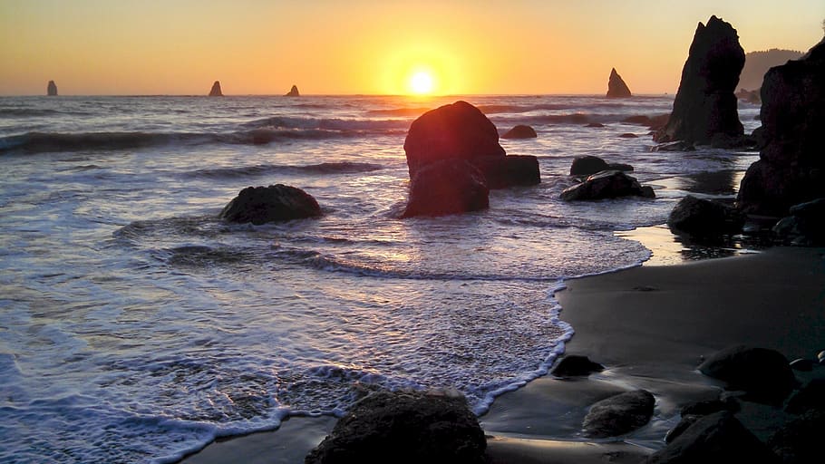 Ocean View during Sunset, beach, coast, dawn, horizon, nature HD wallpaper