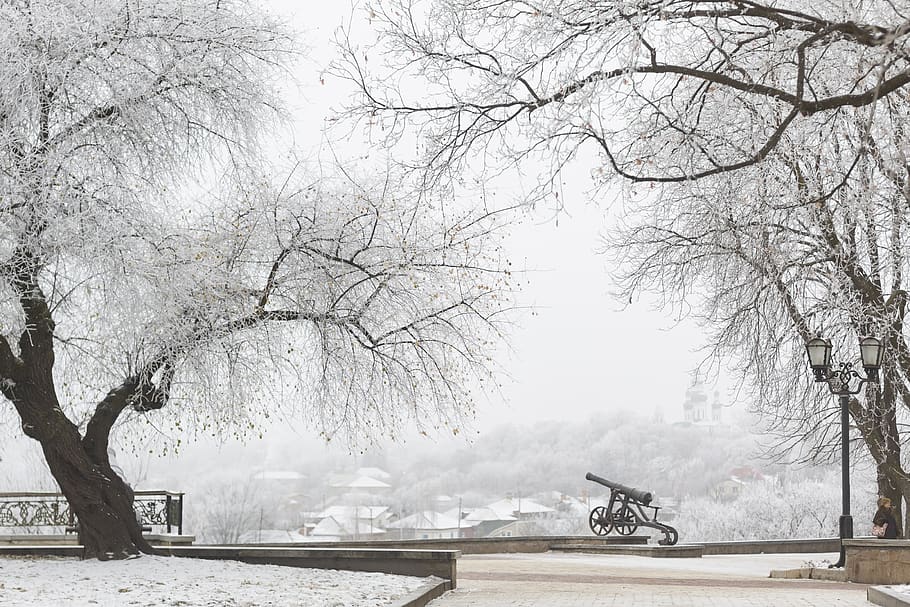 cannon, winter, snow, cold, white, panorama, silence, history HD wallpaper