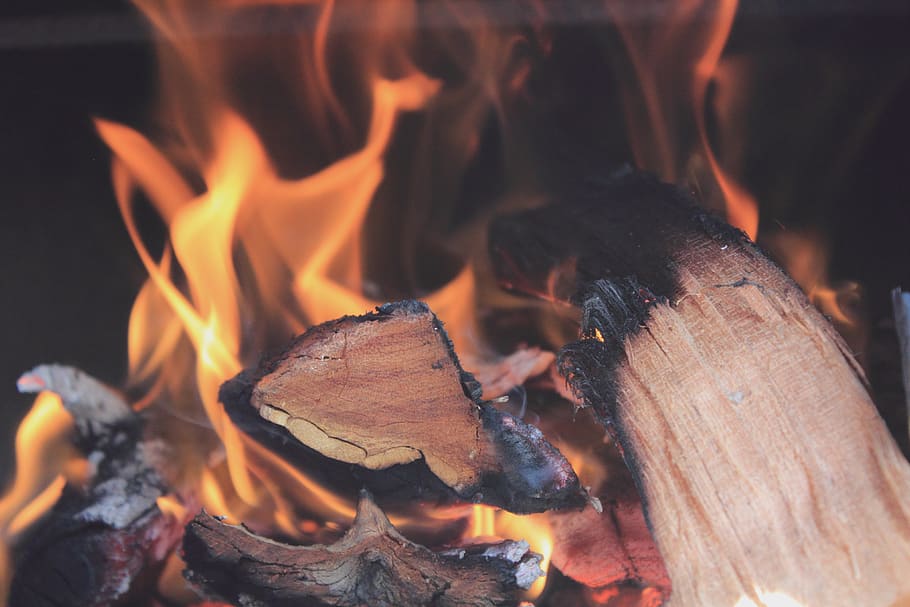 Brown and Black Burnt Wood Near Fire, burning, flame, heat, fire - natural phenomenon HD wallpaper