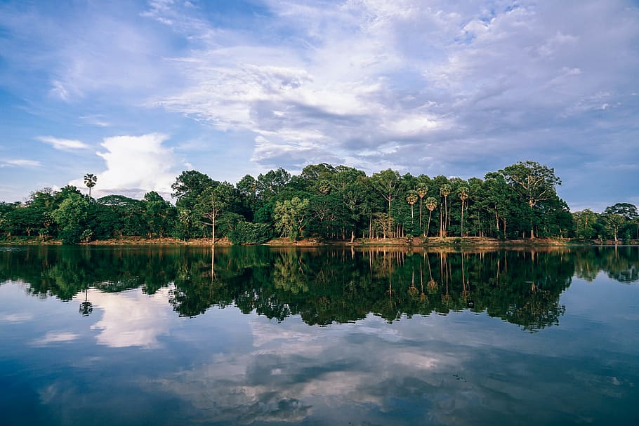 Scenic Photography of Trees, background, calm, cambodia, clouds HD wallpaper