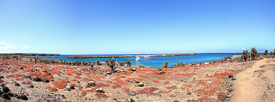 ecuador, galápagos islands, water, sea, sky, beach, blue, nature HD wallpaper