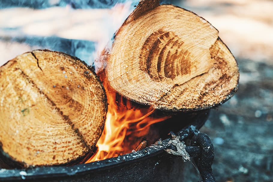 two brown fire woods, log, wood - material, close-up, firewood HD wallpaper