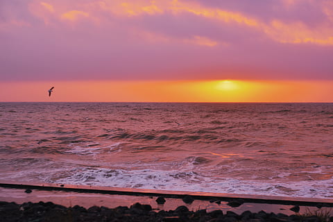 sea, sun, sunlight, waves, sunrise, sunset, sunshine, wallpaper HD wallpaper