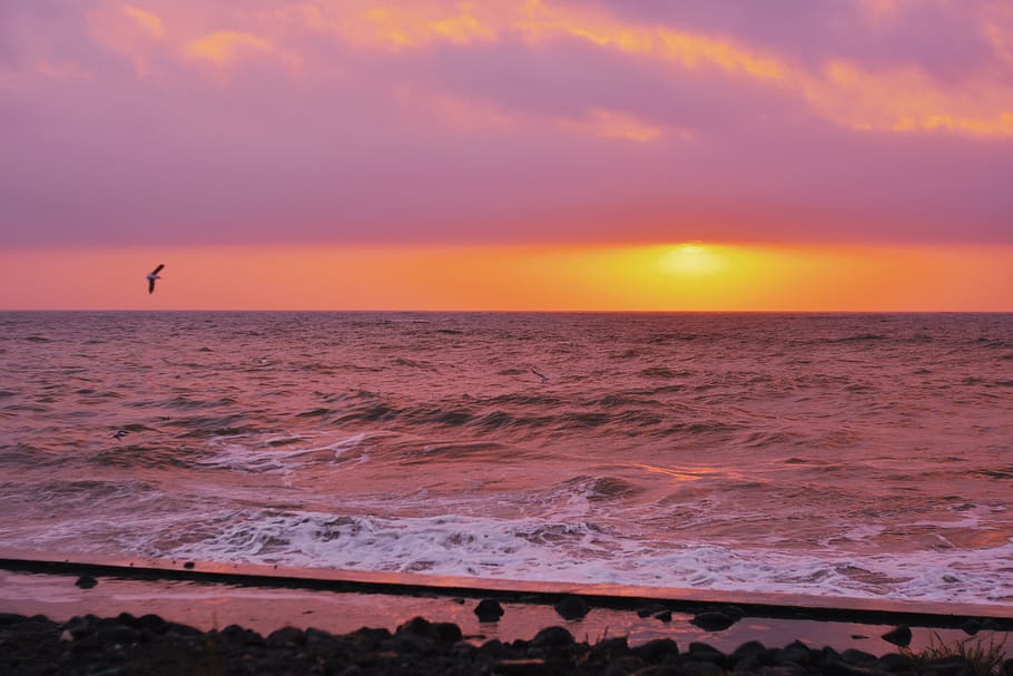 sea, sun, sunlight, waves, sunrise, sunset, sunshine, wallpaper HD wallpaper