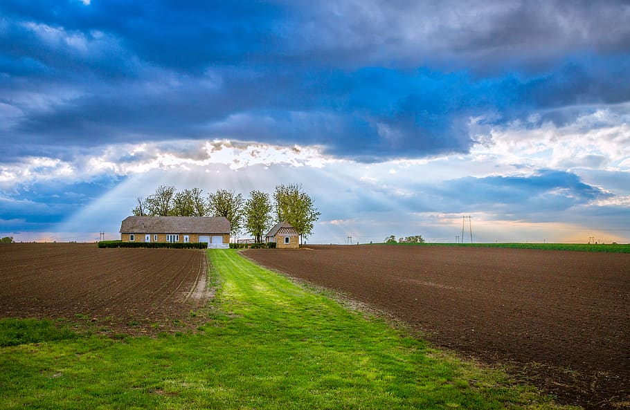 serbia, srbobran, vojvodina, village, cloud - sky, plant, landscape, HD wallpaper